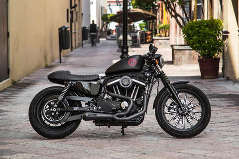 Two brothers cheap sportster exhaust