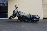 2018+ Softail Highway Peg Crash Bar
