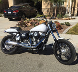 Dyna, FXR, Sportster, and Bagger 39mm and 49mm Fork Tubes
